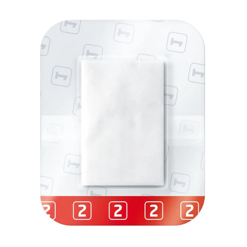 Leukomed T Plus Skin Sensitive Dressing | Pack of 5 - Image 4