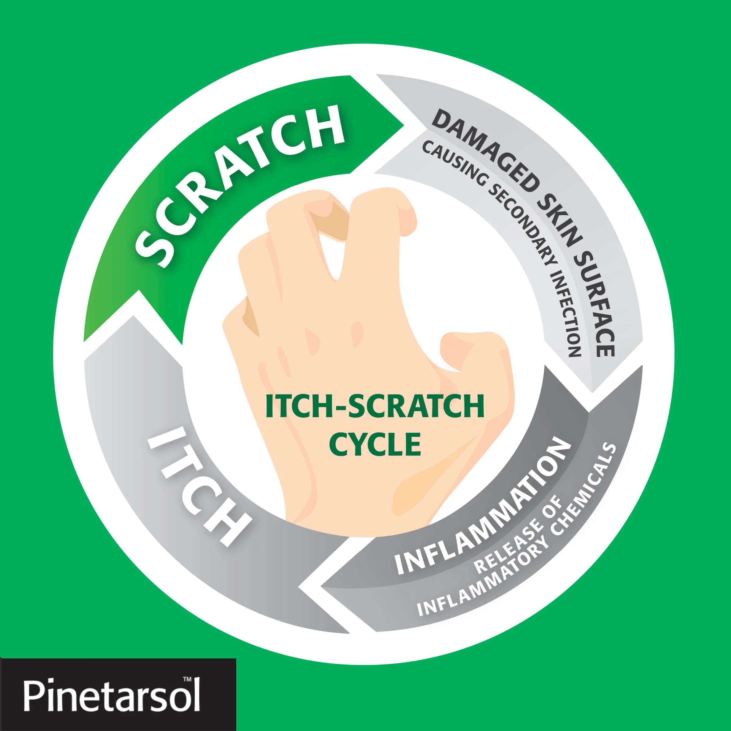 Pinetarsol Solution Spray Bottle 200mL - Image 4